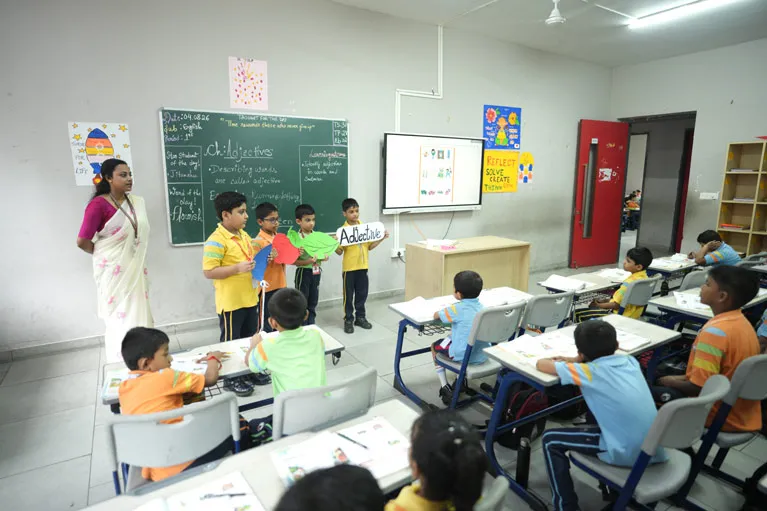 curriculum
